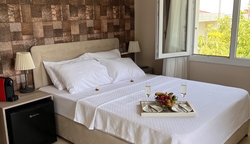 Classic Double Room