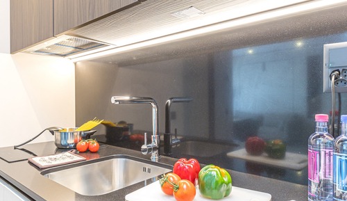 Family Studio (ICON H 307 Suite Micro-Living)