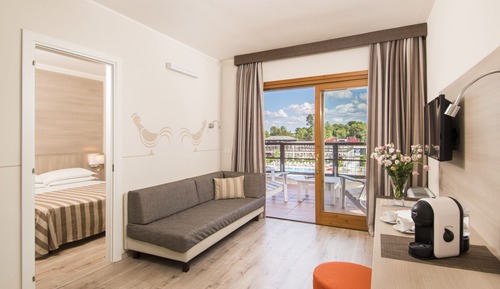 Deluxe Room, Pool View