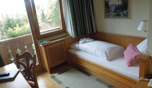 Single Room, Balcony, View (Edelweiss)