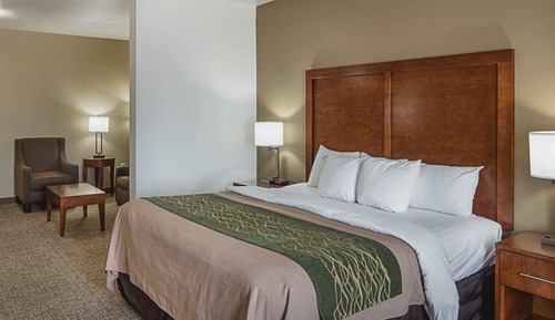 Suite, 1 King Bed with Sofa bed, Non Smoking (Efficiency)