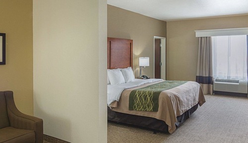 Suite, 1 King Bed with Sofa bed, Non Smoking