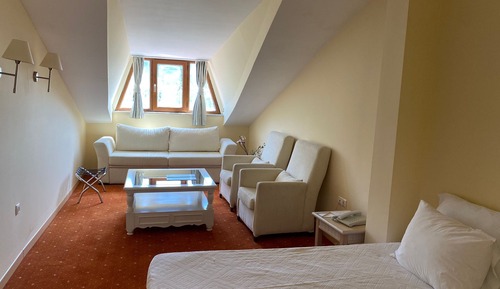 Attic Room