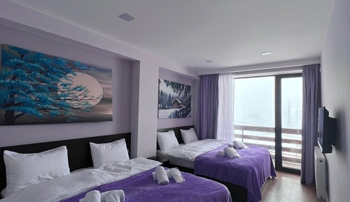 Standard Quadruple Room, Multiple Beds, Mountain View