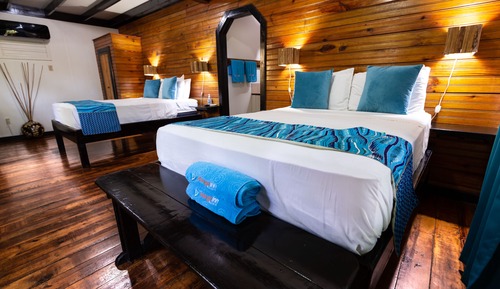 Basic Cabin