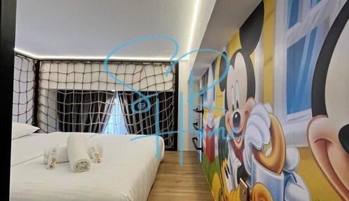 Mickey Themed Loft Apartment