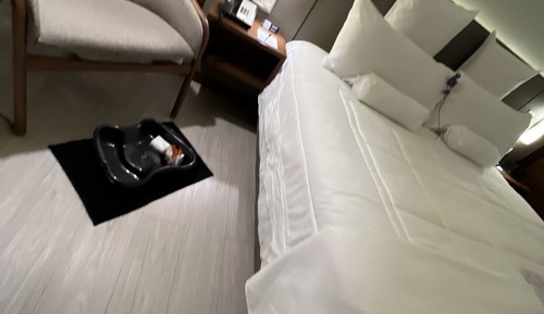 Double Executive Suite
