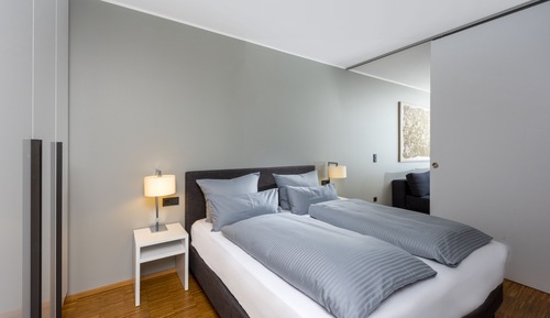 Panoramic Apartment, Balcony, Lake View (AC)