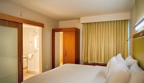 Suite, 1 King Bed with Sofa bed, Non Smoking (Mobility/Hearing Accessible, Tub)