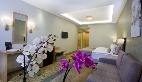 Executive Room