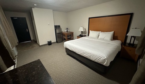 Deluxe Single Room, 1 King Bed - Standard King Room