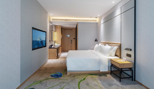 Comfort Single Room
