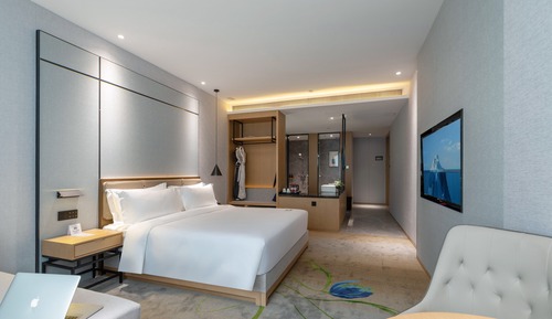 Luxury Single Room