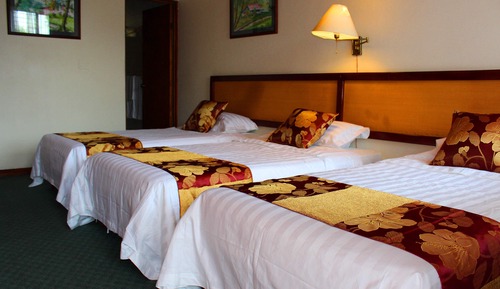 Basic Triple Room