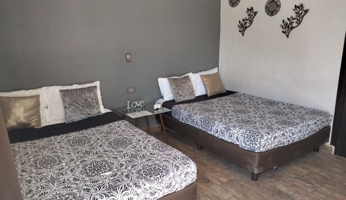 Standard Suite