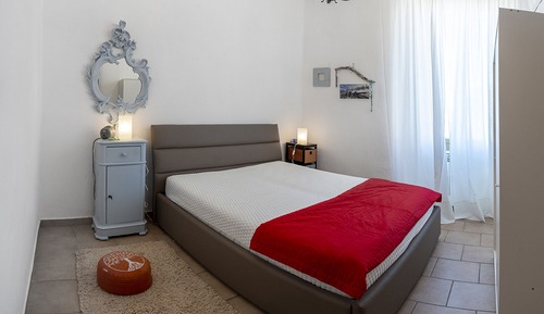 Basic Apartment