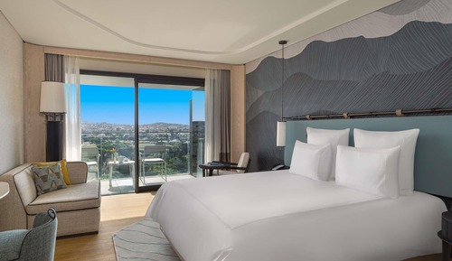 Swiss Advantage Room, 1 King Bed
