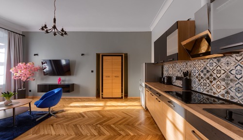 Luxury Apartment