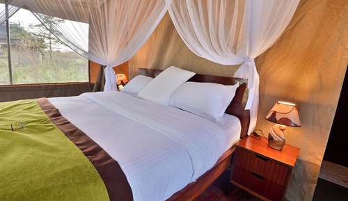 Family Tent, 2 Bedrooms, Patio