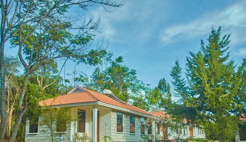 Comfort Cottage, Accessible