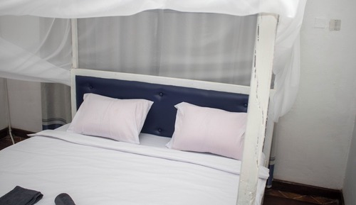 Basic Double Room