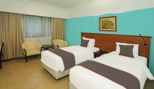 Deluxe Twin Room