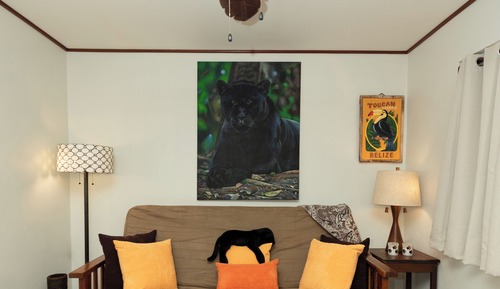 Luxury Suite, 1 King Bed, Pool View, Garden Area: PANTHER PAD