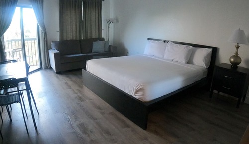 Deluxe Studio, 1 King Bed with Sofa bed, Non Smoking, Partial Lake View