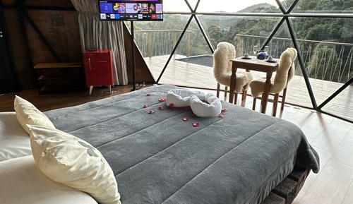 Panoramic Cabin, 1 Queen Bed