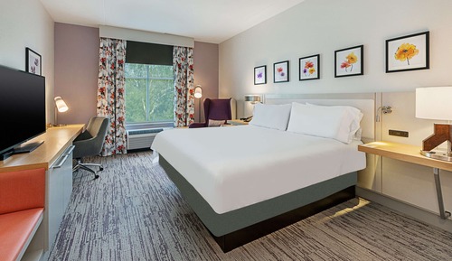Room, 1 King Bed, Accessible (Hearing)