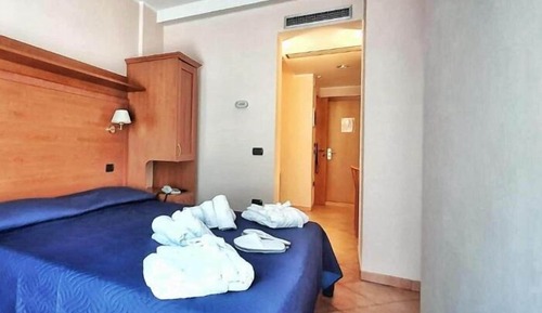 Basic Triple Room