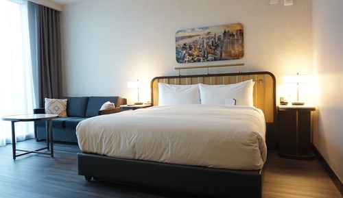 Room, 1 King Bed with Sofa bed