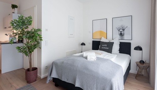 Single Suite S