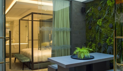 Luxury Suite