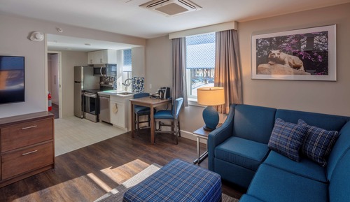 1 Bedroom Suite, 1 Queen Bed with Sofa Bed