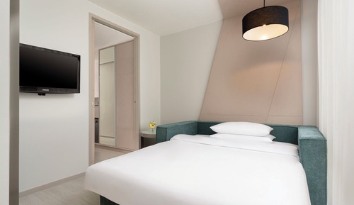 Studio, 1 King Bed with Sofa bed