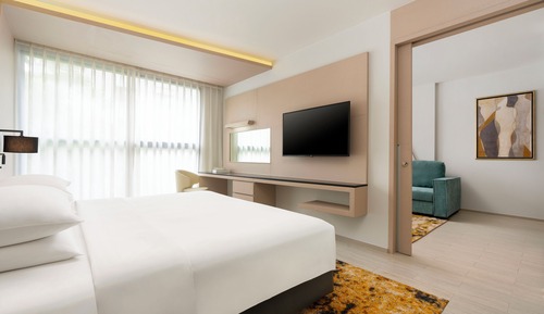 Suite, 1 King Bed with Sofa bed