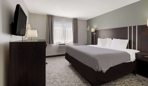 Standard Room, 1 King Bed, Non Smoking