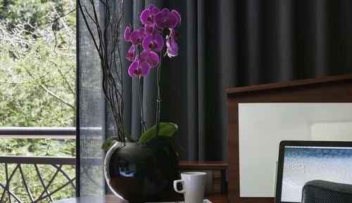 Luxury Room (Grand Luxe Room)