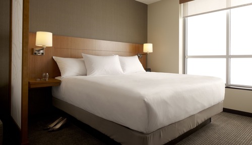 Room, 1 King Bed with Sofa bed (High Floor)