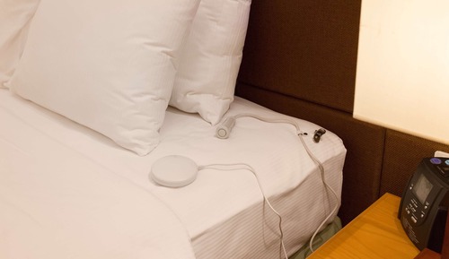 Room, 1 King Bed, Accessible