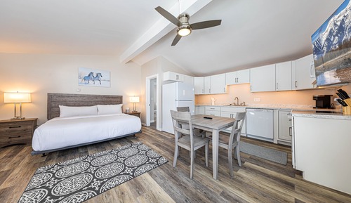 Studio Suite, 1 King Bed, Park View