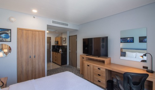 Business Room, 1 King Bed, Refrigerator & Microwave (Wet bar)