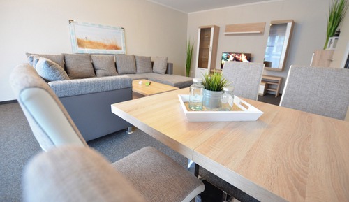 Basic Apartment