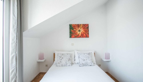 Basic Apartment