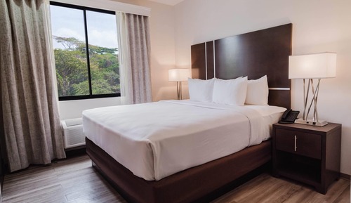 Room, 1 King Bed, Accessible, Non Smoking