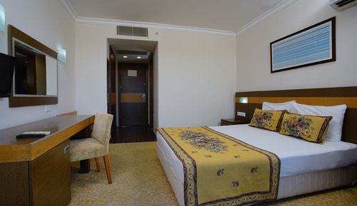 Standard Double or Twin Room, Mountain View