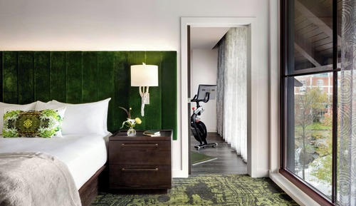 Studio, 1 King Bed