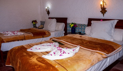 Standard Single Room, Mountain View