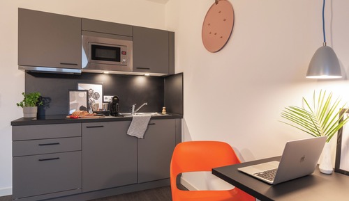 Studio Suite, 1 Queen Bed, Accessible (Extra Floor Space)